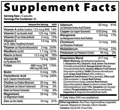 Evervale Ember – Brain & Focus Complex